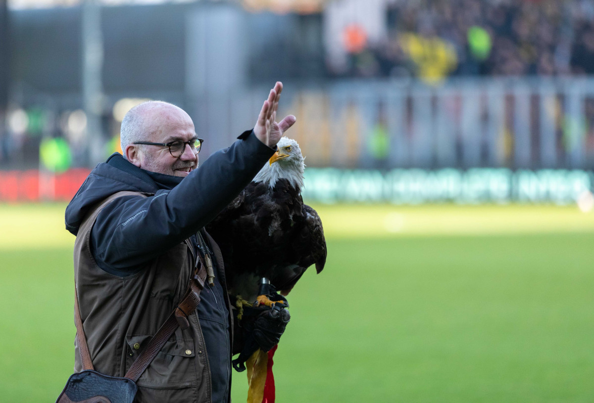 5742 b side rats gaenac tom willems 0080